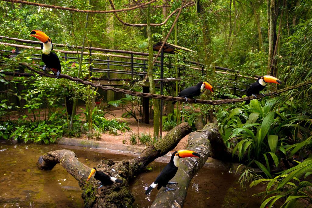 Post do Parque das Aves